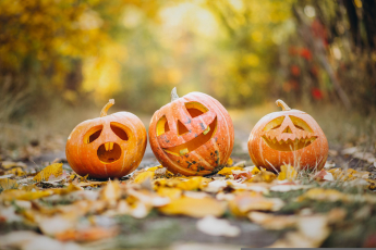 Drei Halloween Kürbisse